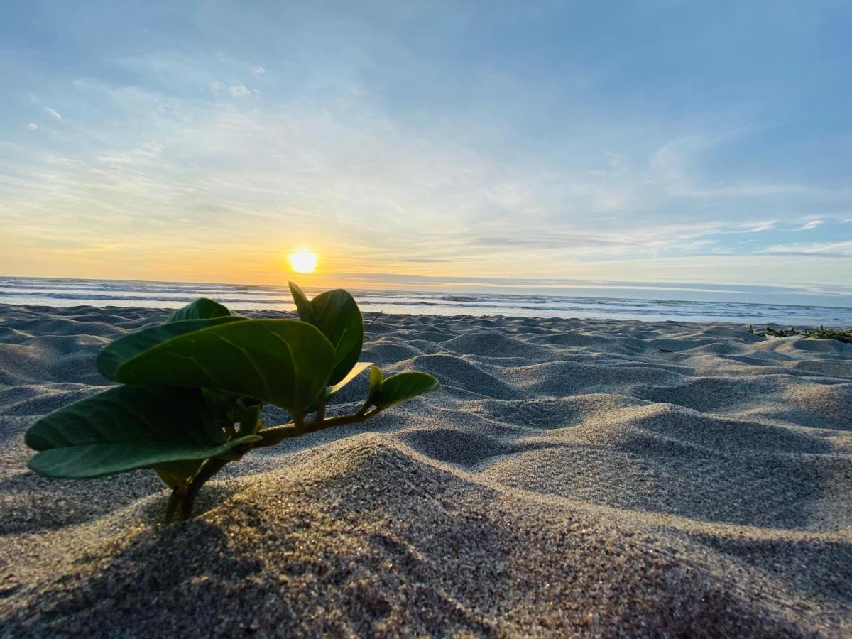 Canoa South Beach エクステリア 写真